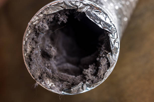 Best Best Air Duct Cleaning Near Me  in Benson, AZ